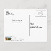 Kathedraal Spires Formations Colorado Briefkaart (Achterkant)