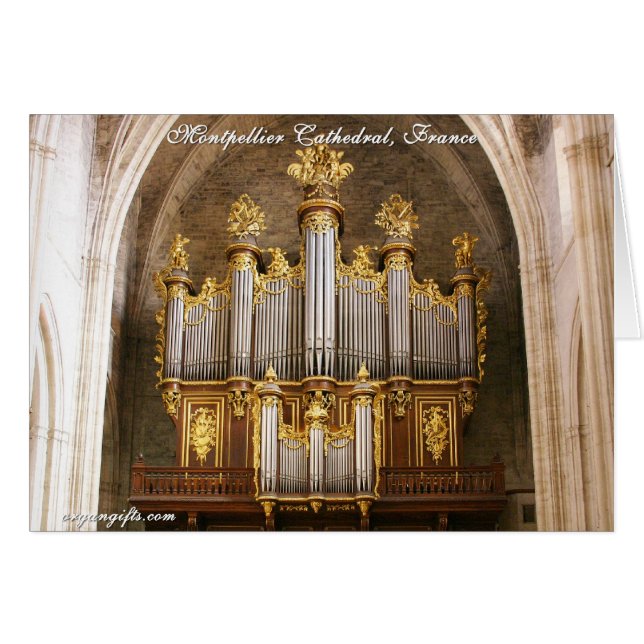 Kathedraal St Pierre de Montpellier, Frankrijk (Voorkant Horizontaal)