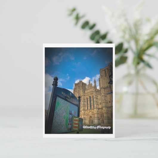 Kathedraal van cellen (2) briefkaart (Staand voorkant)