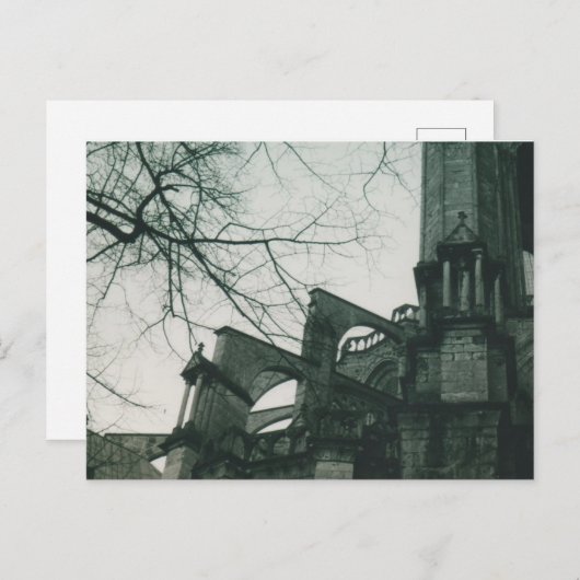 Kathedraal van Chartres (Notre Dame de Chartres) Briefkaart (Voorkant / Achterkant)