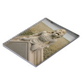 Kathedraal van Gargoyle - York Notitieboek (Linkerzijde)