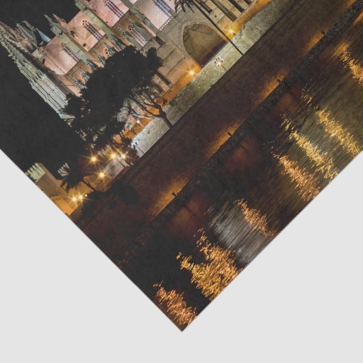 Kathedraal van Palma de Mallorca 's nachts - Spanj Tissuepapier (Detail)