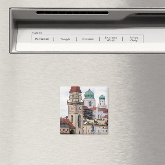 Kathedraal van St. Stephan Magneet (Insitu (Vaatwasser))