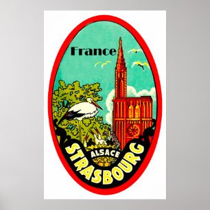 Kathedraal van Straatsburg, ooievaars, Frankrijk,  Poster