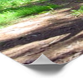 Kathedraal van Trees Ken Gage Foto Surrealistische Poster (Hoek)