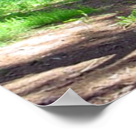 Kathedraal van Trees Ken Gage Foto Surrealistische Poster (Hoek)