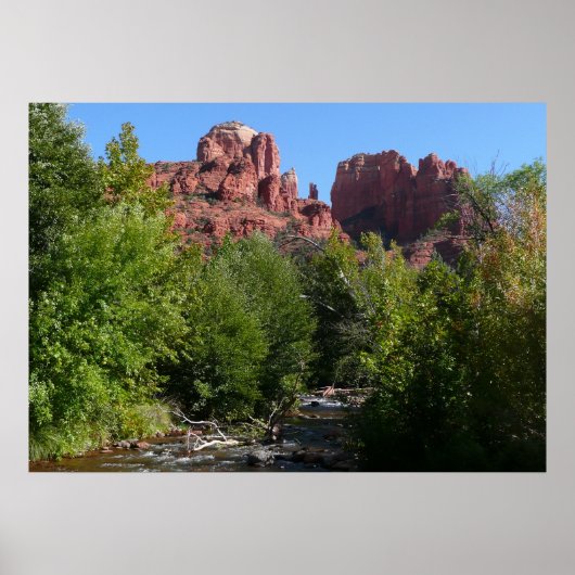 Kathedraalrots en stroom in Sedona Arizona Poster (Voorkant)