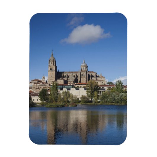 Kathedralen en stad Salamanca Magneet (Verticaal)