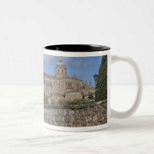 Kathedralen van Salamanca, gezien vanuit Puente Ro Tweekleurige Koffiemok