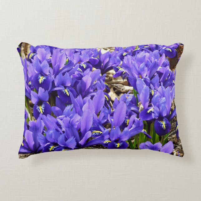 Katherine Hodgkin Irises Paarse Spring Floral Accent Kussen (Voorkant)