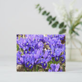 Katherine Hodgkin Irises Paarse Spring Floral Briefkaart (Staand voorkant)