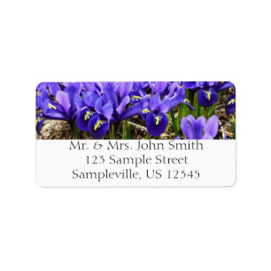 Katherine Hodgkin Irises Paarse Spring Floral Etiket