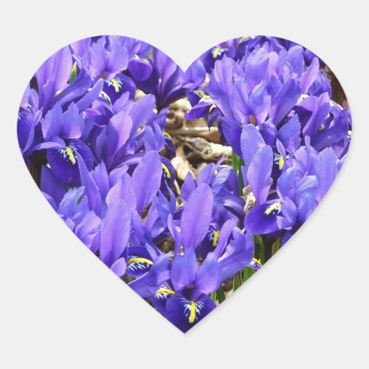 Katherine Hodgkin Irises Paarse Spring Floral Hart Sticker (Voorkant)