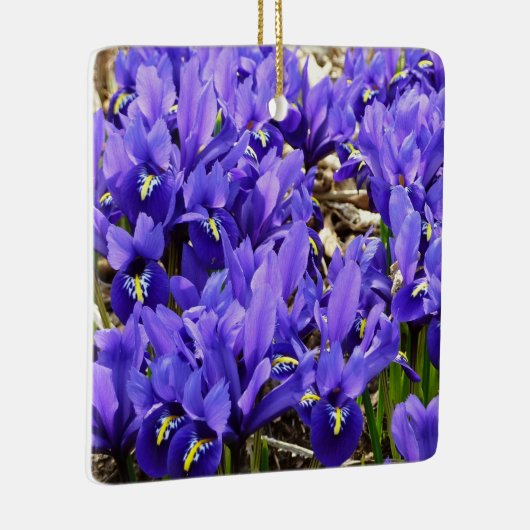 Katherine Hodgkin Irises Paarse Spring Floral Keramisch Ornament (Rechts)