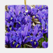 Katherine Hodgkin Irises Paarse Spring Floral Keramisch Ornament (Voorkant)