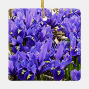 Katherine Hodgkin Irises Paarse Spring Floral Keramisch Ornament