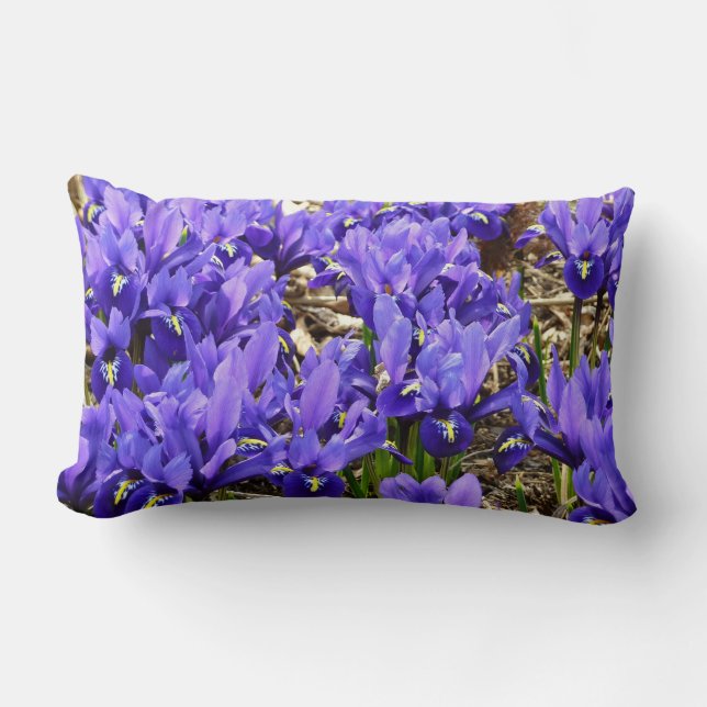 Katherine Hodgkin Irises Paarse Spring Floral Kussen (Voorkant)