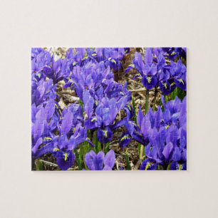 Katherine Hodgkin Irises Paarse Spring Floral Legpuzzel