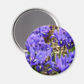 Katherine Hodgkin Irises Paarse Spring Floral Magneet (Voorkant / Achterkant)