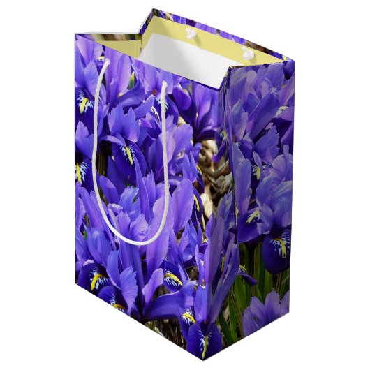 Katherine Hodgkin Irises Paarse Spring Floral Medium Cadeauzakje (Achterkant Gekanteld)