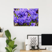 Katherine Hodgkin Irises Paarse Spring Floral Poster (Thuiskantoor)