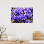 Katherine Hodgkin Irises Paarse Spring Floral Poster (Keuken)