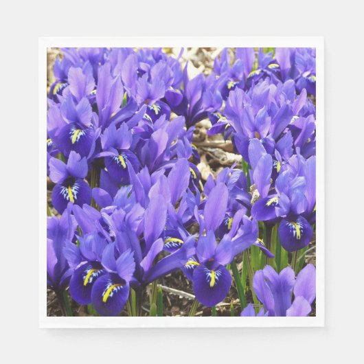 Katherine Hodgkin Irises Paarse Spring Floral Servet (Voorkant)