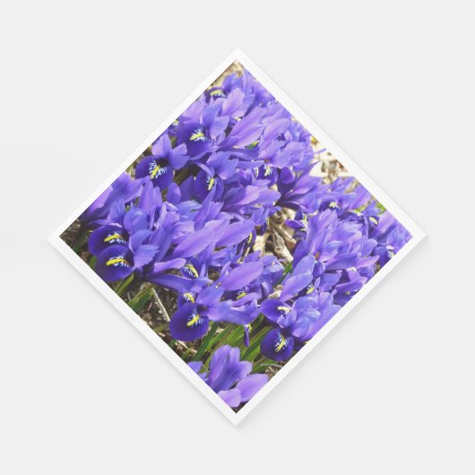 Katherine Hodgkin Irises Paarse Spring Floral Servet (Hoek)