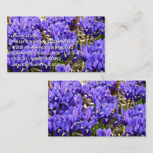 Katherine Hodgkin Irises Paarse Spring Floral Visitekaartje (Voorkant / Achterkant)