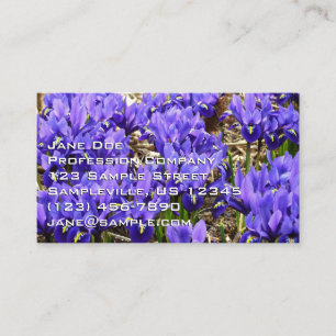 Katherine Hodgkin Irises Paarse Spring Floral Visitekaartje