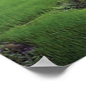 Kathmandu River Rice Terace Poster (Hoek)