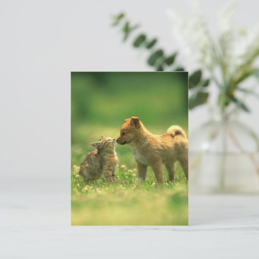 kathondeliefde briefkaart (Staand voorkant)