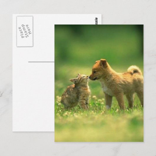 kathondeliefde briefkaart (Voorkant / Achterkant)