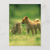 kathondeliefde briefkaart (Voorkant)