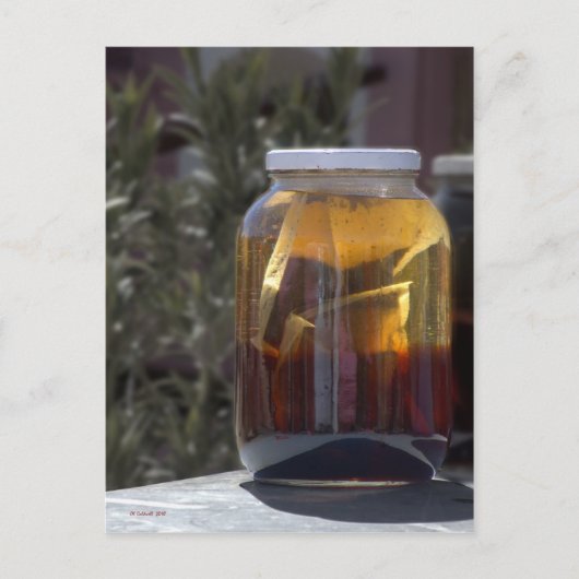 Kathy's Kosmic Kowgirl Tea Briefkaart (Voorkant)