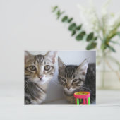 Katie & Carl Briefkaart (Staand voorkant)