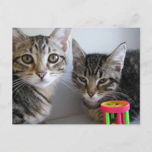 Katie & Carl Briefkaart (Voorkant)