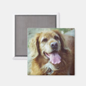 Katie Old Magneet (Voorkant / Achterkant)