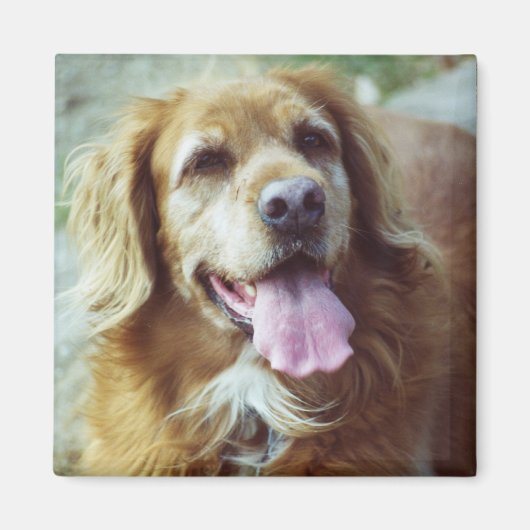 Katie Old Magneet (Voorkant)