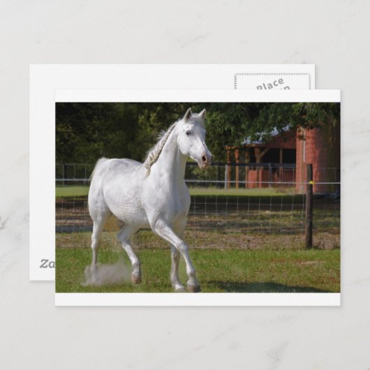 Katie Running Briefkaart (Voorkant / Achterkant)