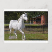 Katie Running Briefkaart (Voorkant)