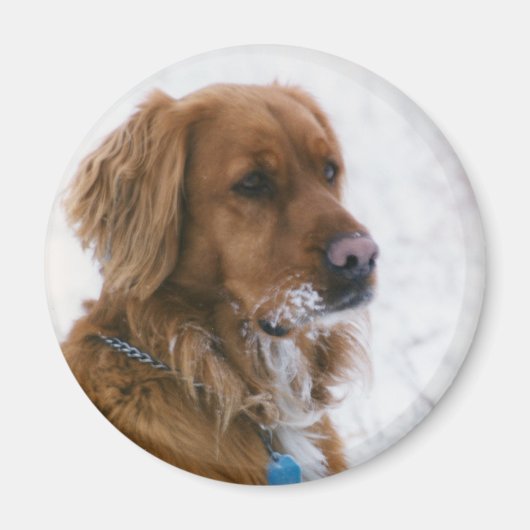 Katie Snowy Magneet (Voorkant)