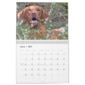 Katie Vizsla 2012 Kalender (Mar 2027)
