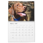 Katie Vizsla 2012 Kalender (Feb 2027)