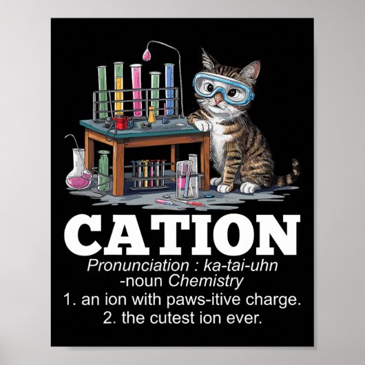 Kation Chemie Humor Wetenschap Docent Cat Pun Fun Poster (Voorkant)