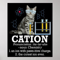 Kation Fun Chemie Humor Wetenschap Docent Cat Pun