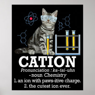 Kation Fun Chemie Humor Wetenschap Docent Cat Pun Poster