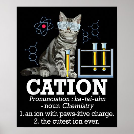 Kation Fun Chemie Humor Wetenschap Docent Cat Pun Poster (Voorkant)