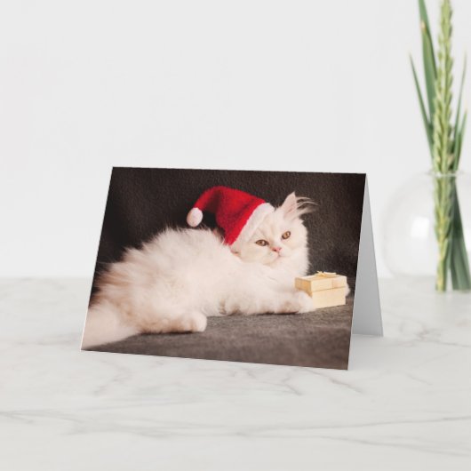 Katje als Kerstman Feestdagen Kaart (Voorkant)
