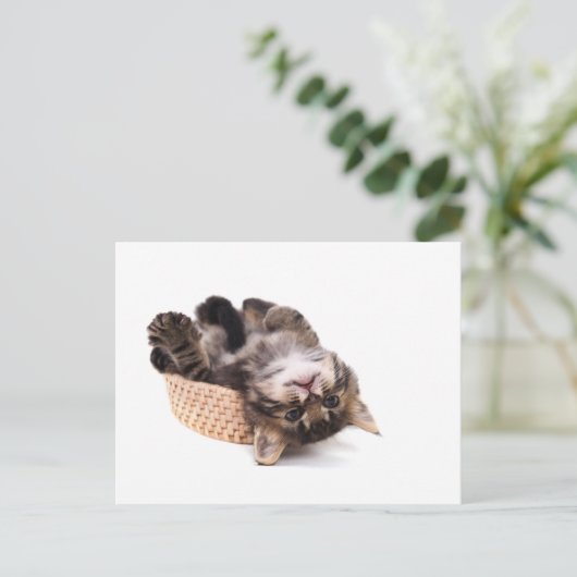 katje briefkaart (Staand voorkant)